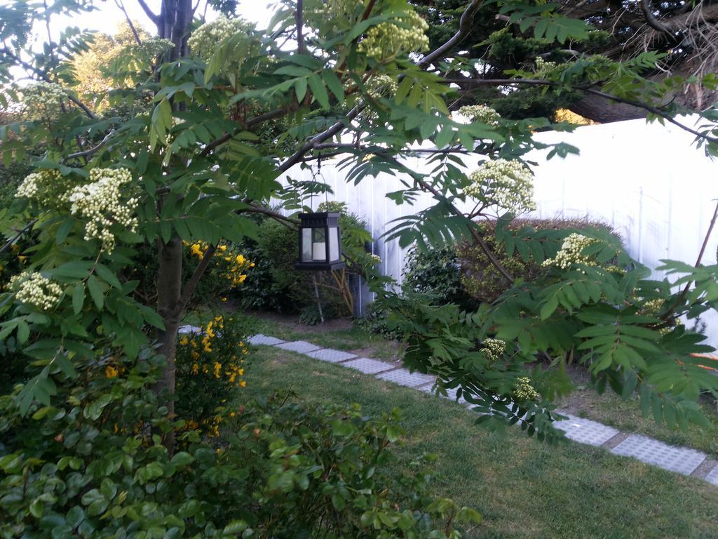 Valyak Rent Apart Hotel - Servicios Integrales Πούντα Αρένας Δωμάτιο φωτογραφία